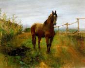 阿切 博里格斯 : -Unknown